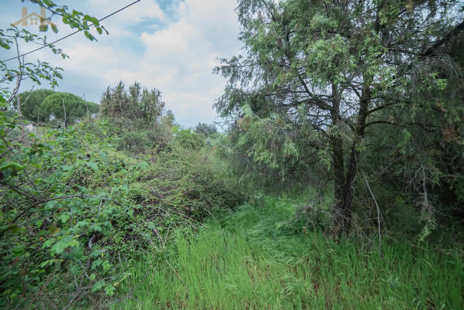 Residencial en venda en El Tiemblo 