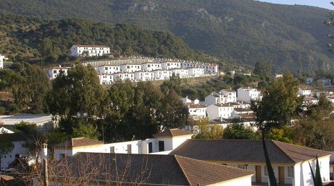 VENTA SOLAR EL BOSQUE, imagen 5