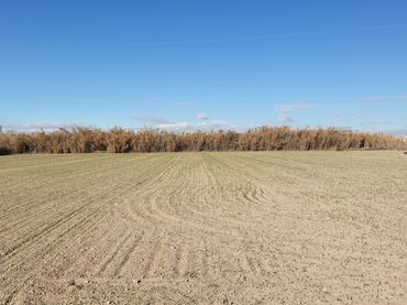Terreno rustico in vendita a Barrios rurales del Sur