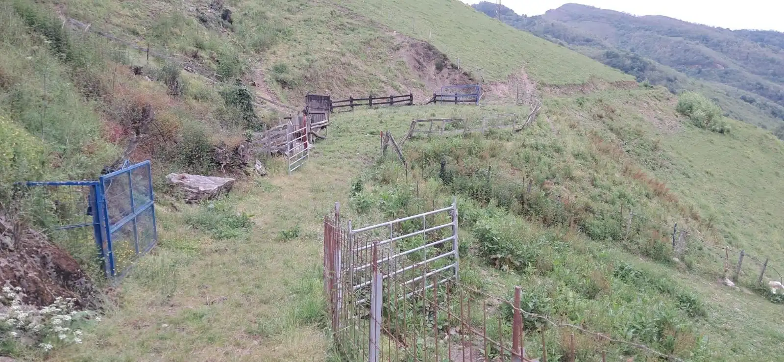 Lands and plots for sale in Lena, imagen 6