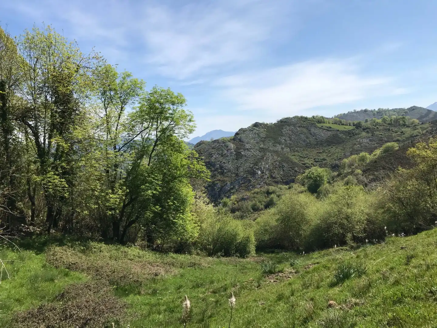 Terreno rustico in vendita a Cangas de Onís, imagen 12