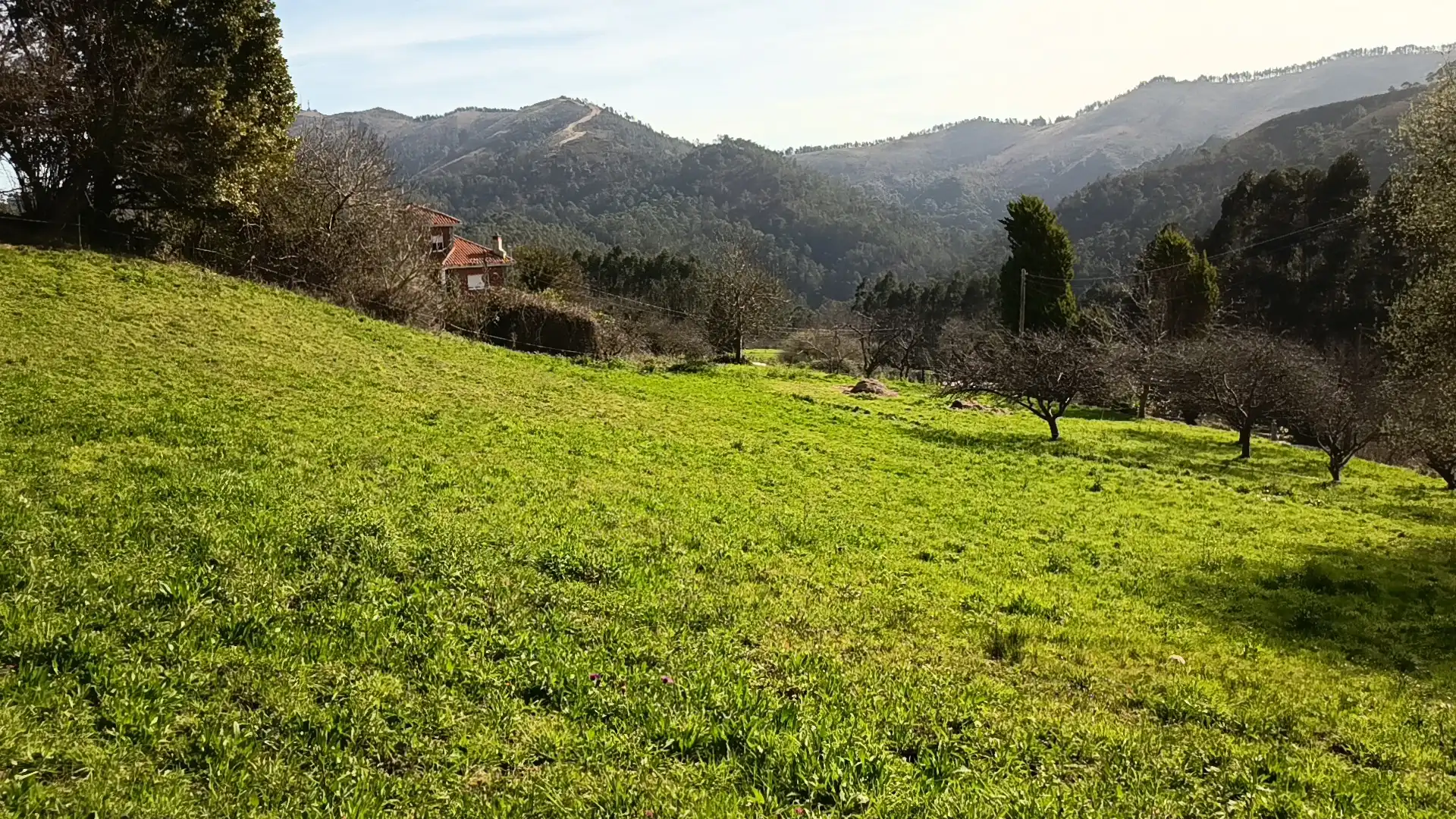 Grundstücke und Bauplätze zum Verkauf in La Peral, imagen 9