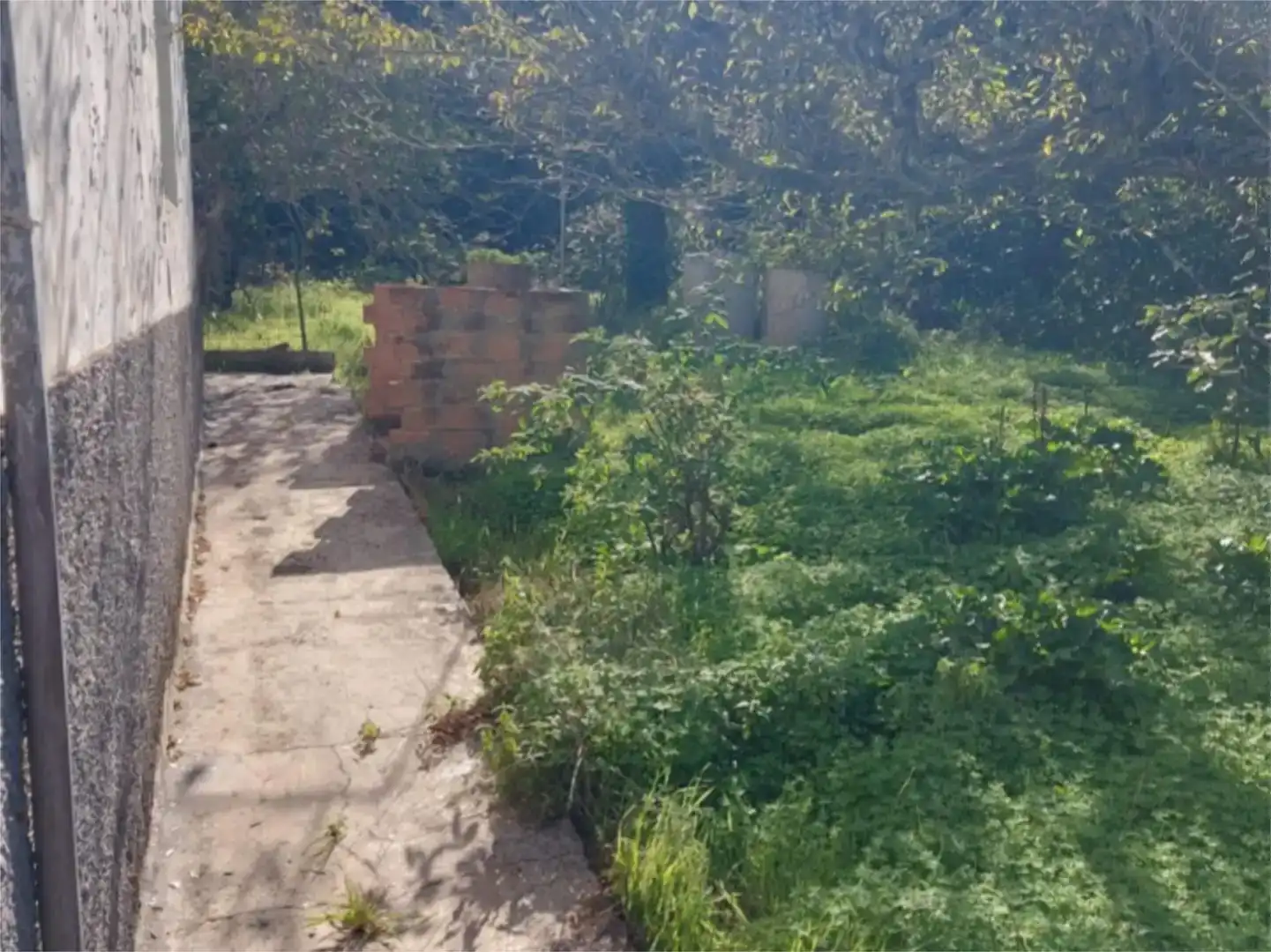 Grundstücke zum Verkauf in Valleseco