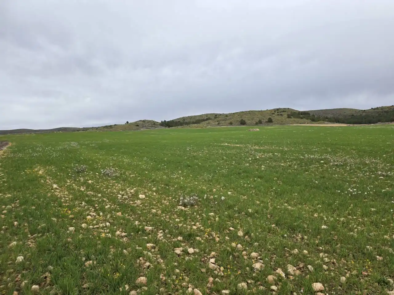 Rural land for sale in Chinchilla de Monte-Aragón, imagen 6