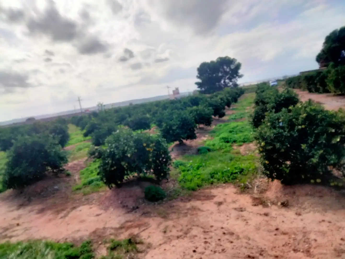 Terreno rustico in vendita a Los Pinares - La Masia, imagen 2