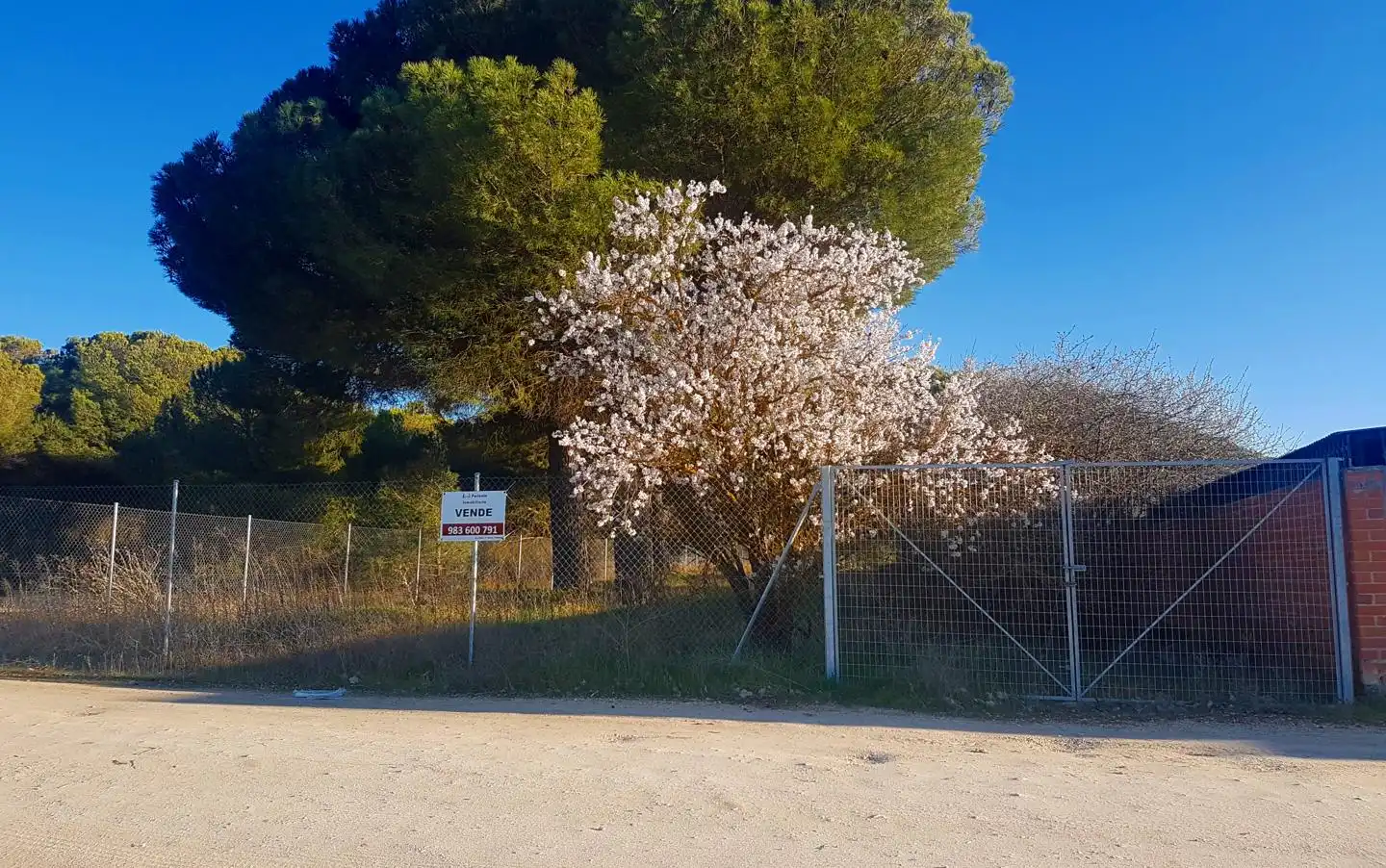 Terrenos y solares en venta en Quintanilla de Onésimo, imagen 2