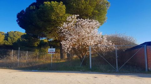 Foto 2 von Residential zum Verkauf in Carretera Soria, Quintanilla de Onésimo, Valladolid