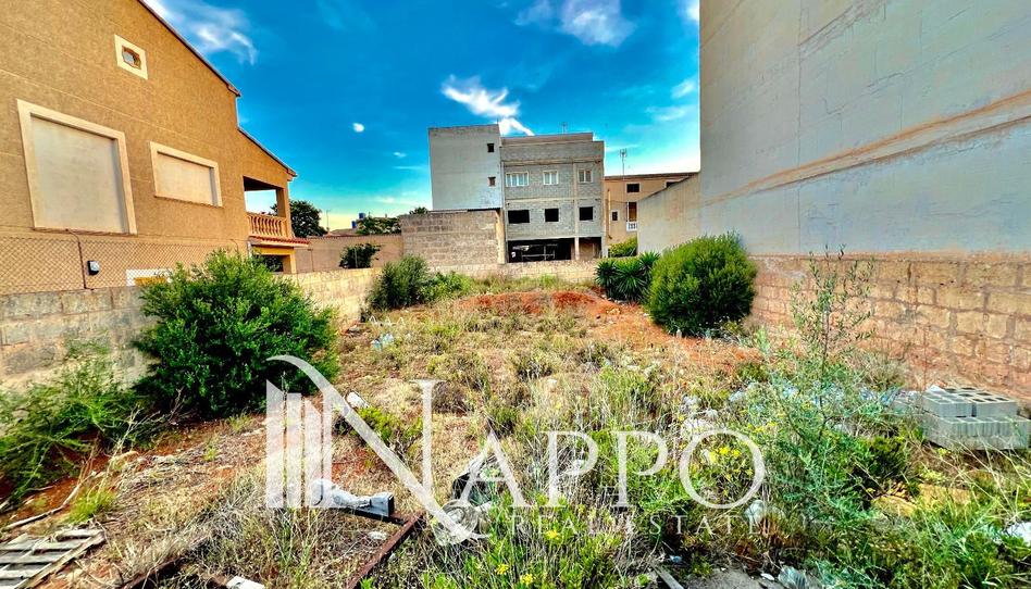 Photo 1 of Land for sale in Porto Cristo, Illes Balears