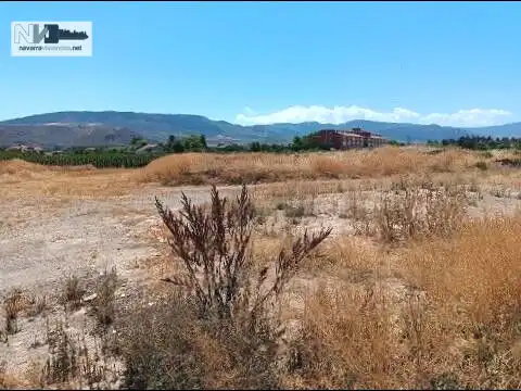 Terreno rústico en venta en Calle Camino La Plana