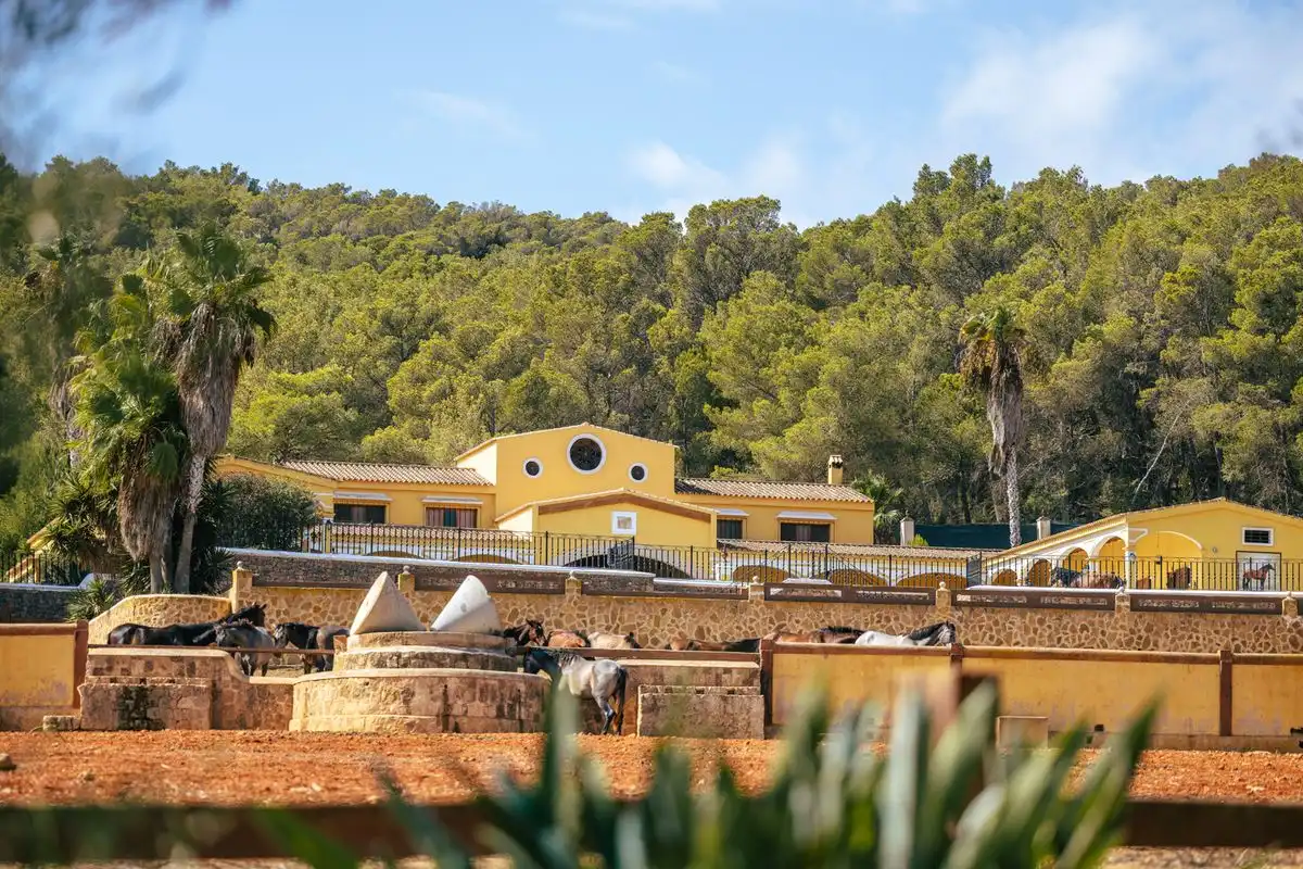 Casa con terraza en venta en Carrer d'en Toni des Pou, imagen 9