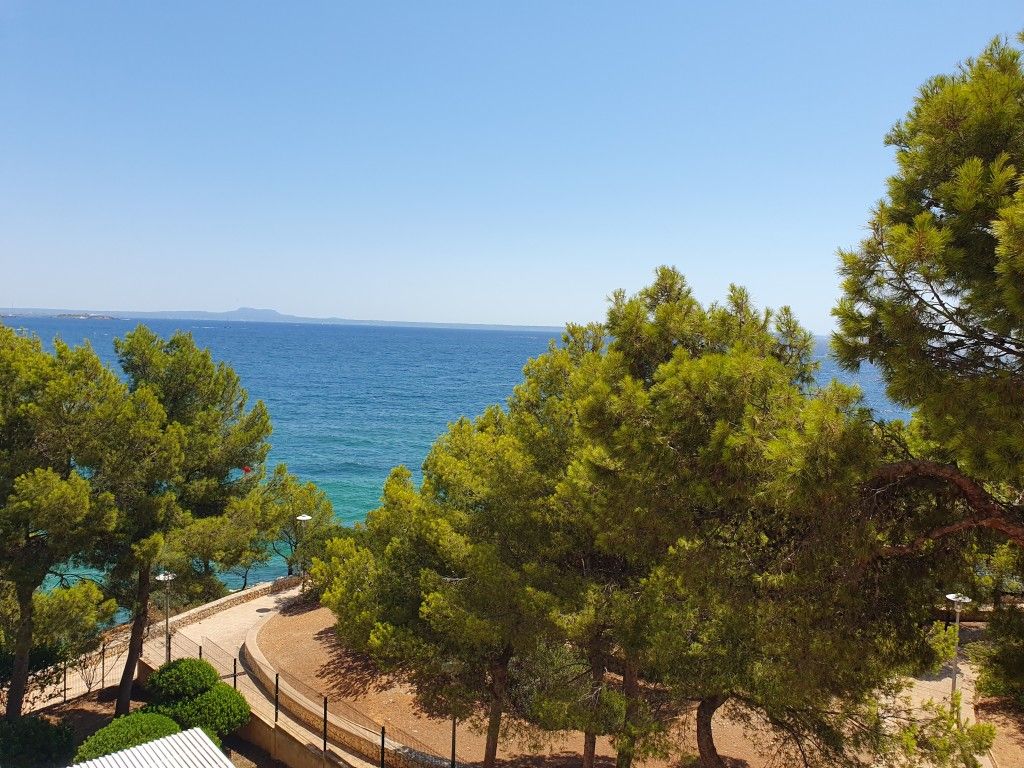 Jardí de Apartament en venda en Calvià amb Aire condicionat, Terrassa i Traster