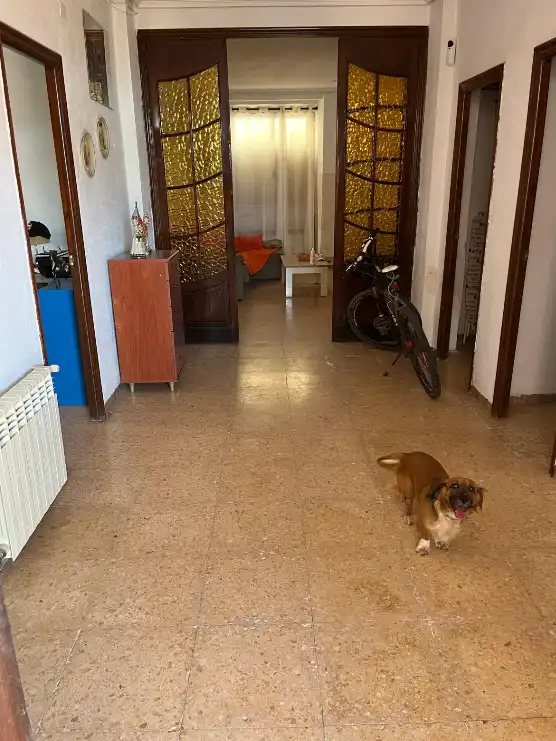 Casa o xalet en venda en Benaguasil amb Jardí privat, Terrassa i Traster