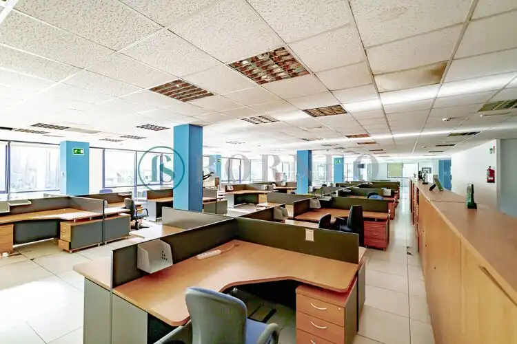 Ufficio in affitto a Pinar de las Rozas, imagen 10