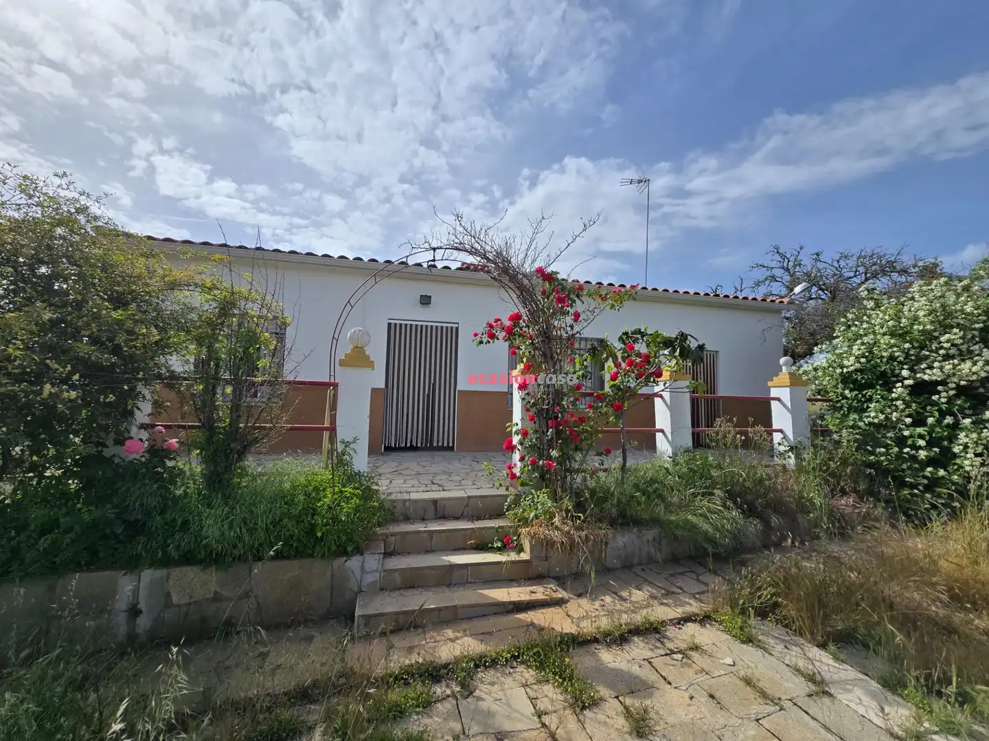 Vista exterior de Casa o xalet en venda en Alcaracejos