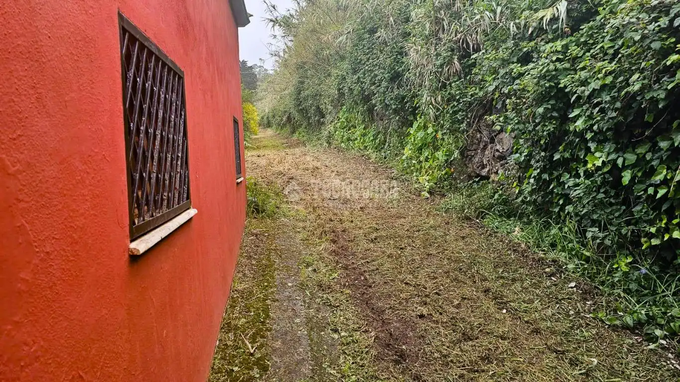 Land for sale in Tacoronte