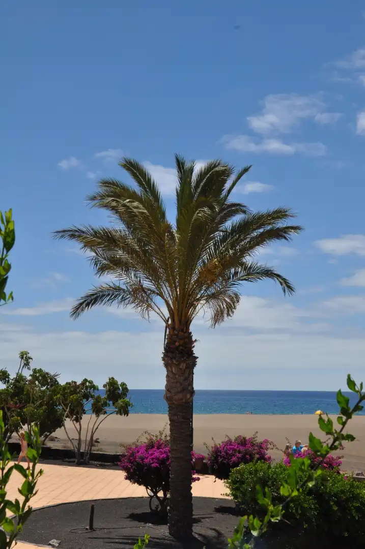Exterior view of Flat for sale in Tías  with Terrace