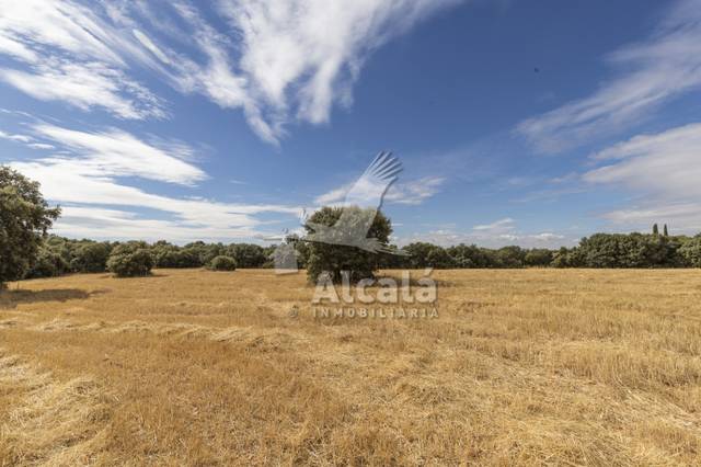 Terreno residencial en Venta en Hueva