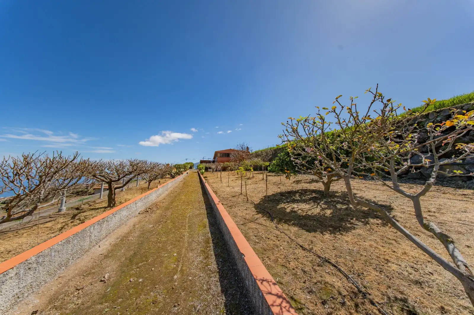 Vista exterior de Casa o xalet en venda en La Guancha amb Jardí privat, Terrassa i Traster
