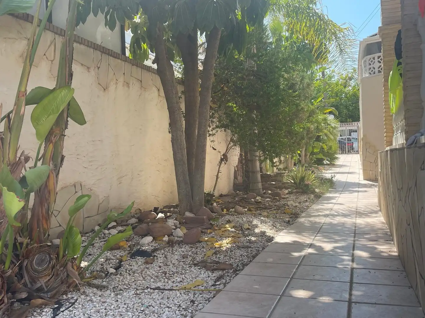 Vista exterior de Casa adosada en venda en Torrevieja amb Aire condicionat, Calefacció i Jardí privat