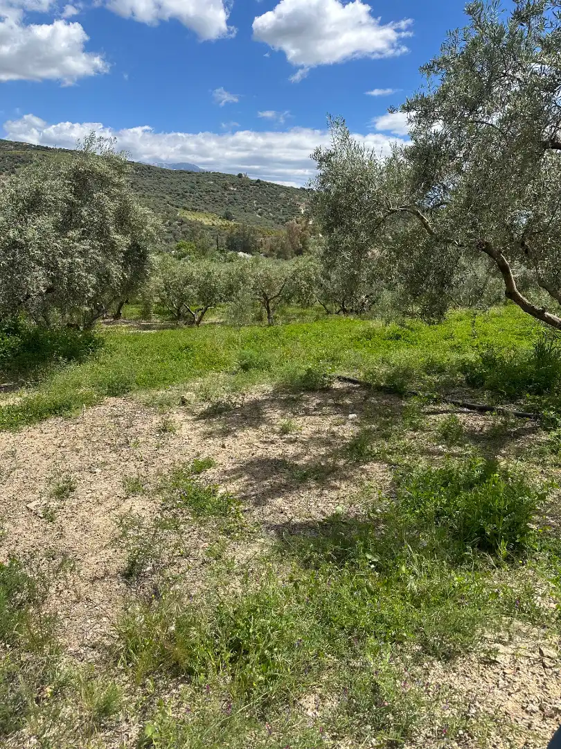 Terreni e lotti in vendita a Periana, imagen 7