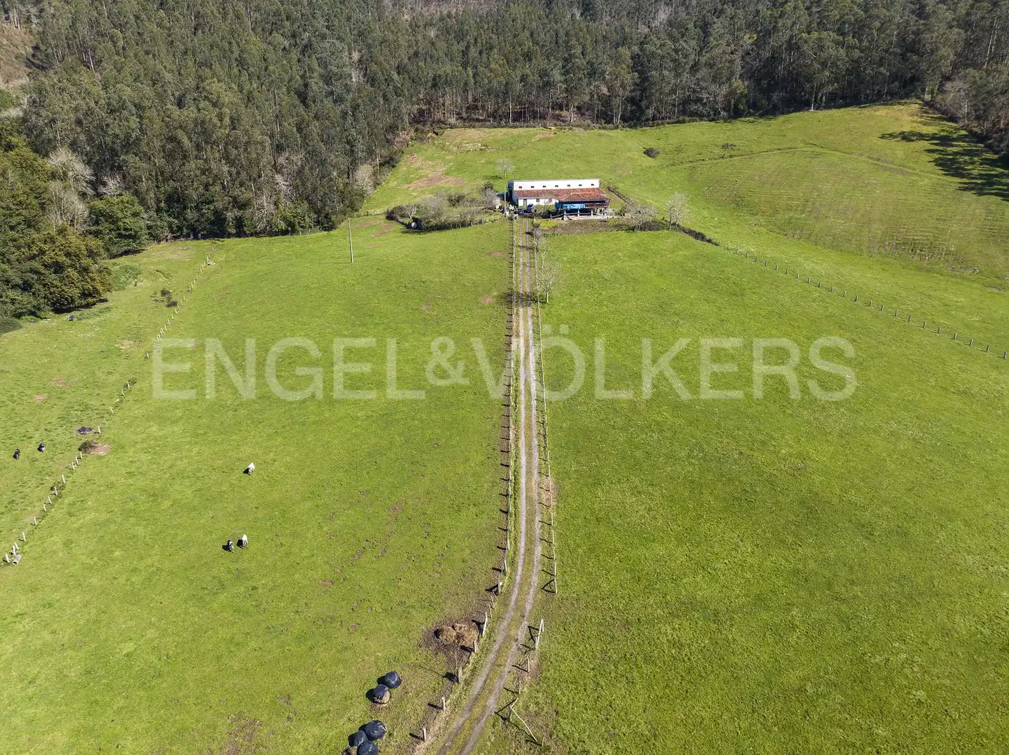 Residencial en venda en Villaviciosa
