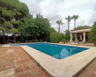 Swimming pool of House or chalet to rent in Elche / Elx  with Terrace and Swimming Pool