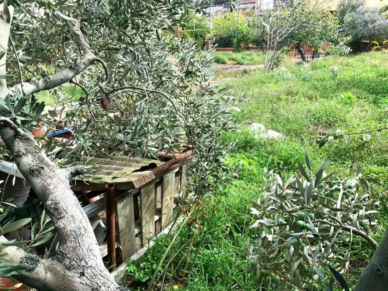Jardí de Residencial en venda en Terrassa