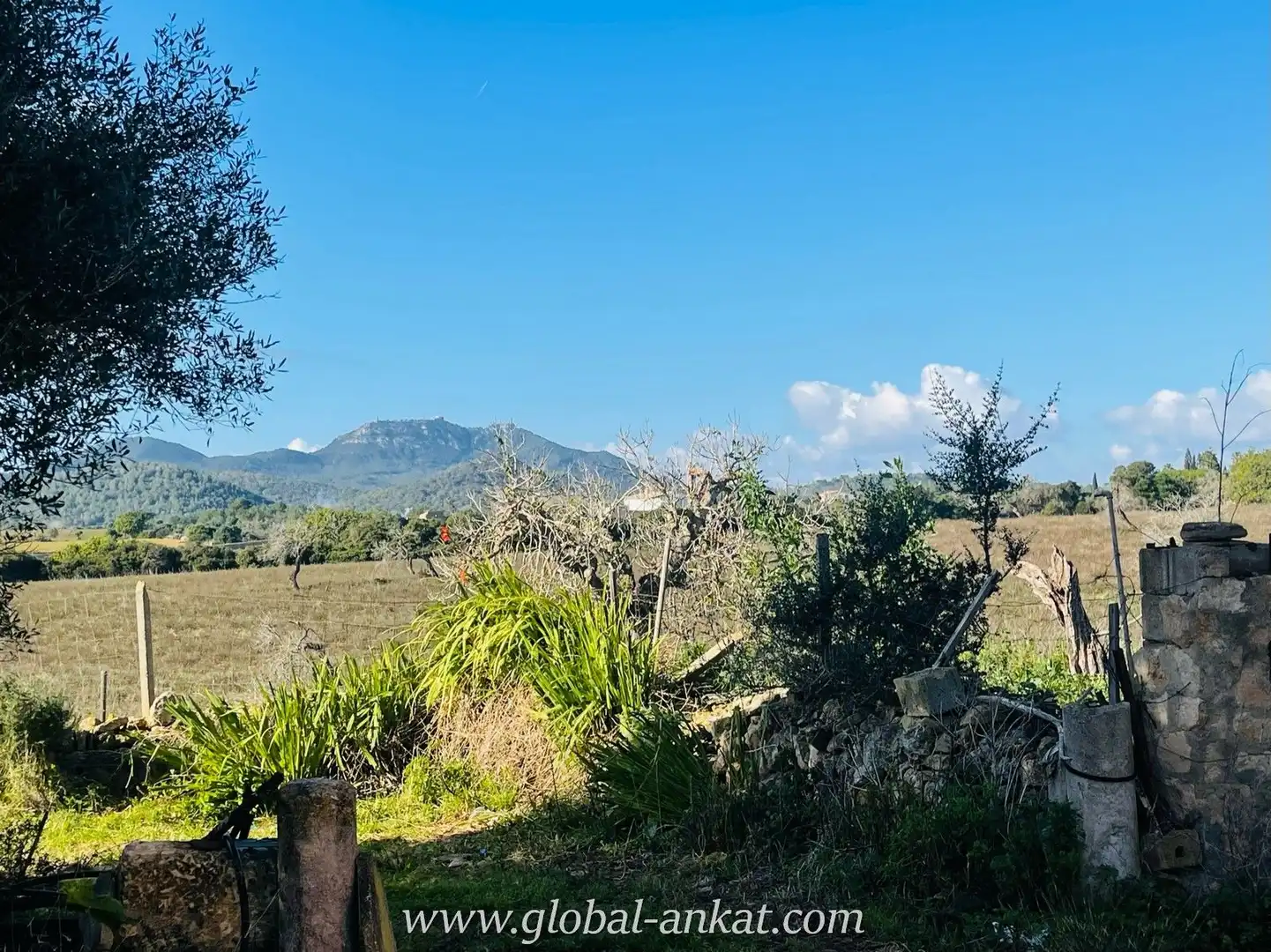 Finca rústica en venta en Manacor