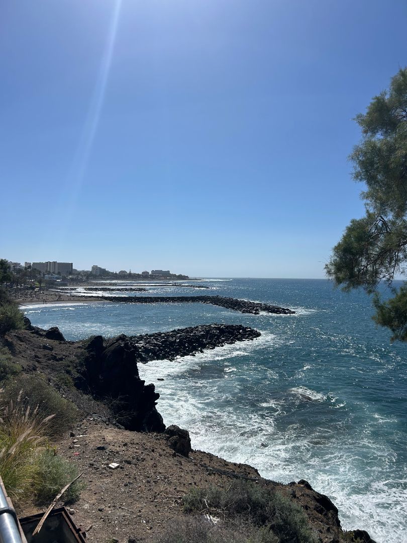 Exterior view of Study for sale in Adeje  with Furnished, Washing machine and Microwave