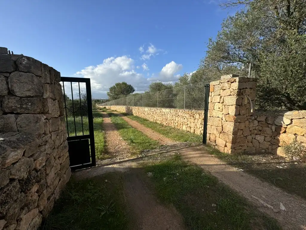 Terreny rústic en venda a Sa Cabaneta, imagen 4