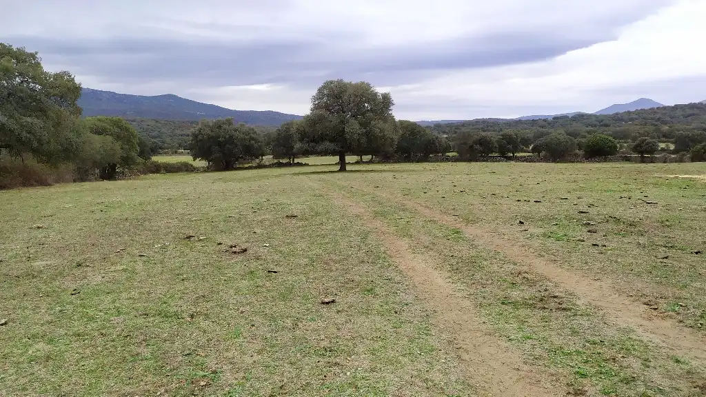 Terreni e lotti in vendita a Fresnedilla, imagen 3