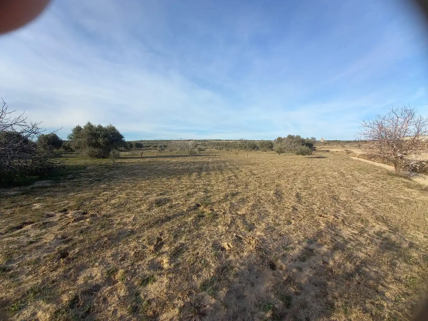 Rural land for sale in Cebolla, imagen 8