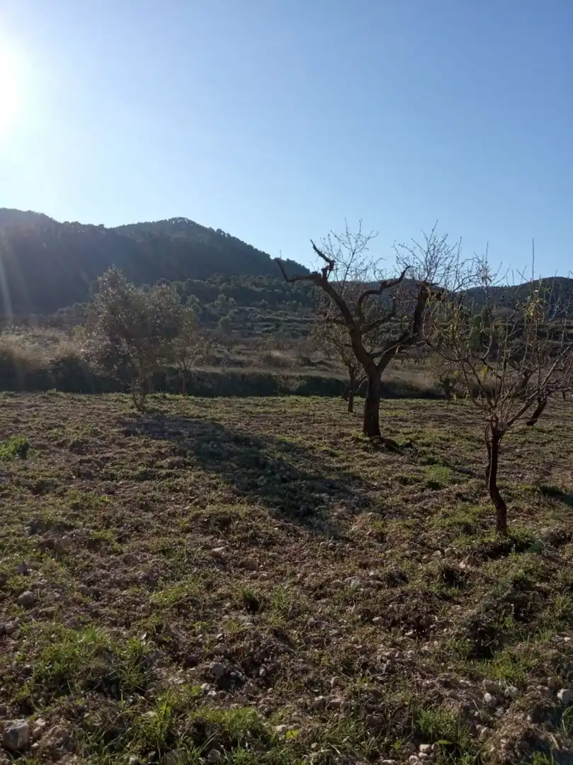 Casa rústica en venda a Ricote, imagen 13