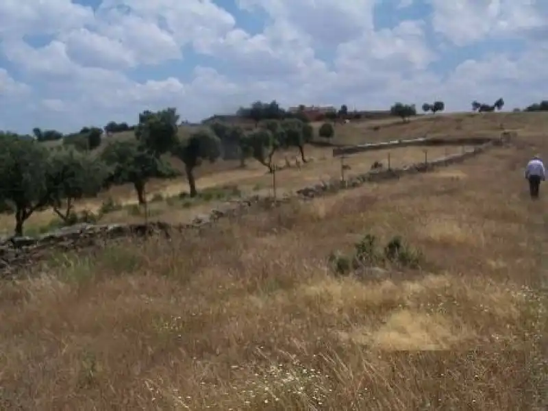 Terreni e lotti in vendita a Alcántara, imagen 25