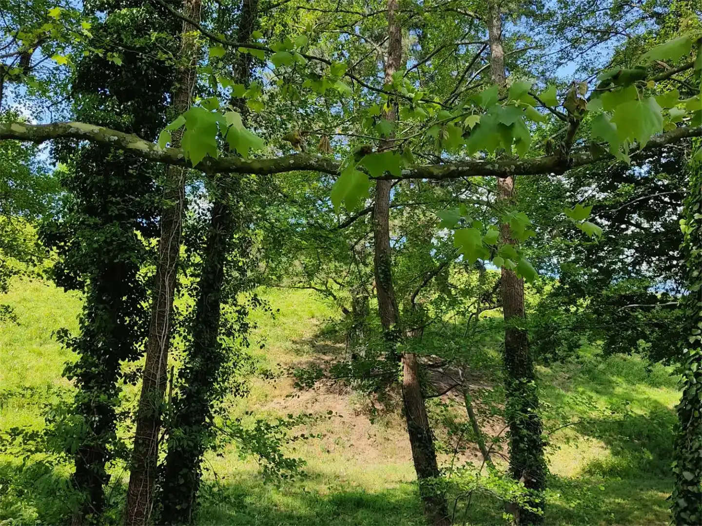 Grundstücke zum Verkauf in Idiazabal
