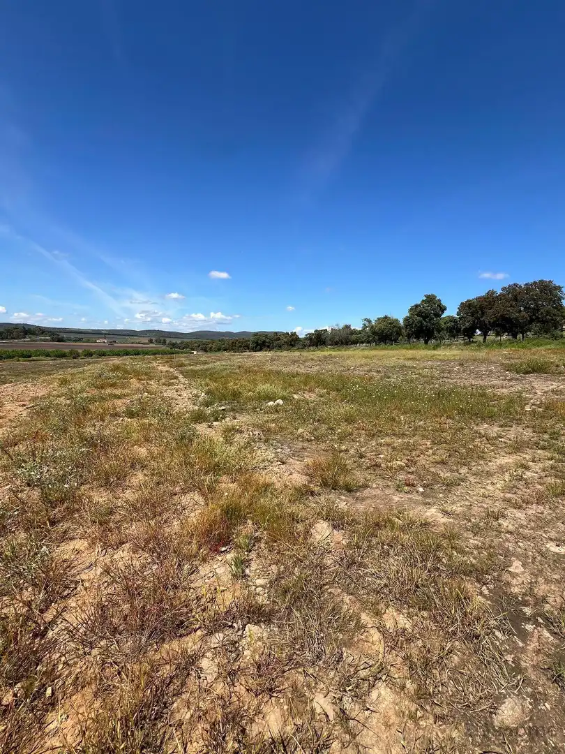 Finca rústica en venta en Santa Amalia