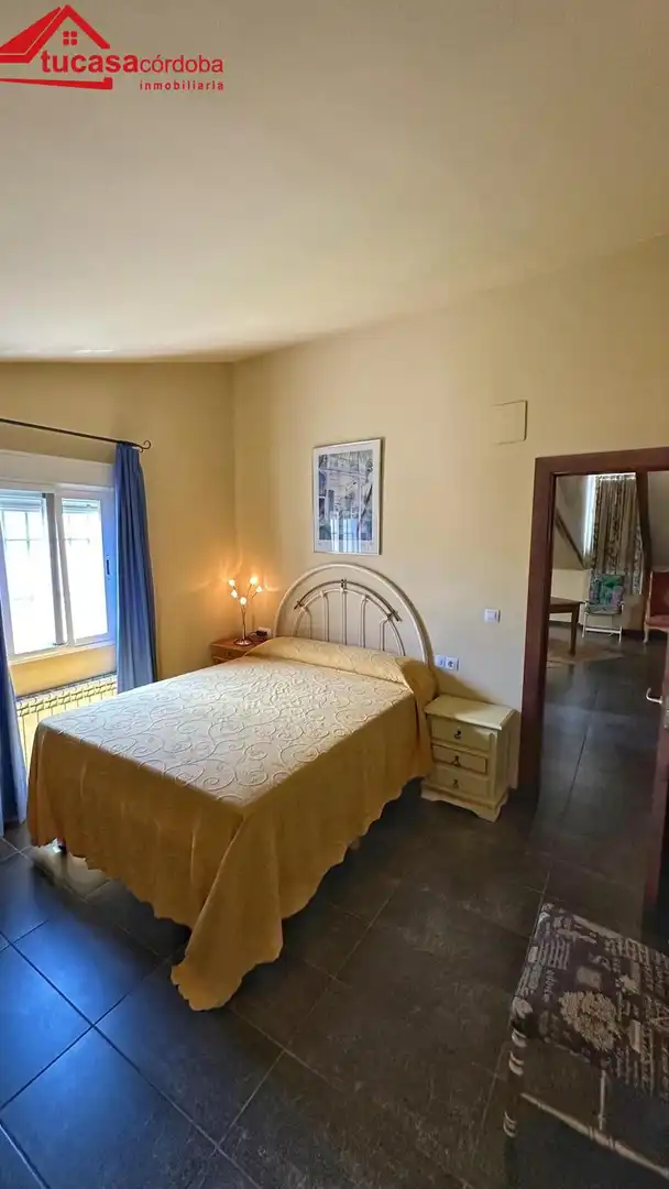 Xalet amb jardí en venda a Peñarroya-Pueblonuevo, imagen 27