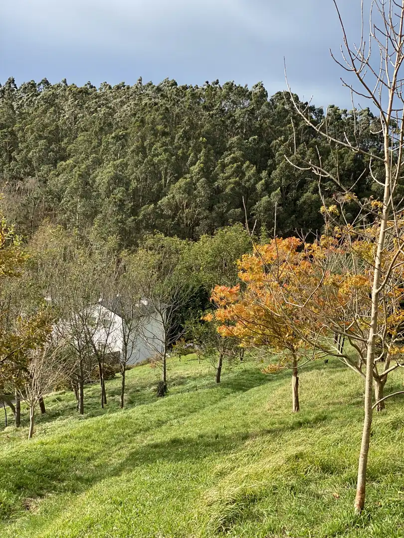 Edificio en venta en Luarca - Camino de Portizuelo, Valdés - Luarca