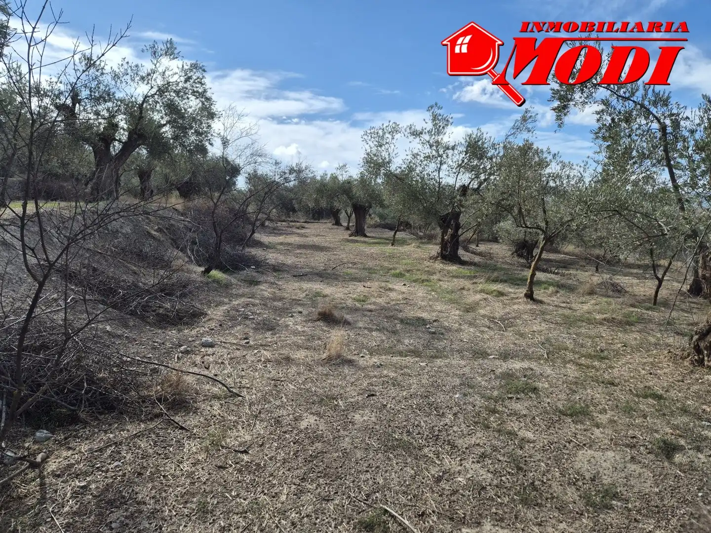 Lands and plots for sale in Dúrcal, imagen 2