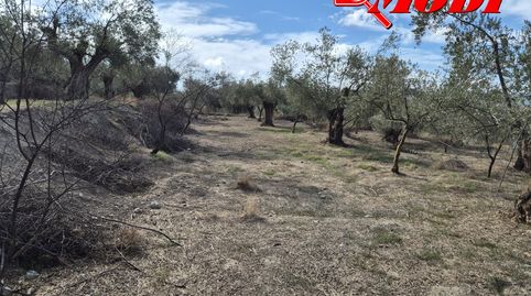 Oportunidad Única en Dúrcal! Finca Rústica con Encanto y Potencial Agrícola.Descubra esta magnífica finca rústica en el corazón de, immagine 2