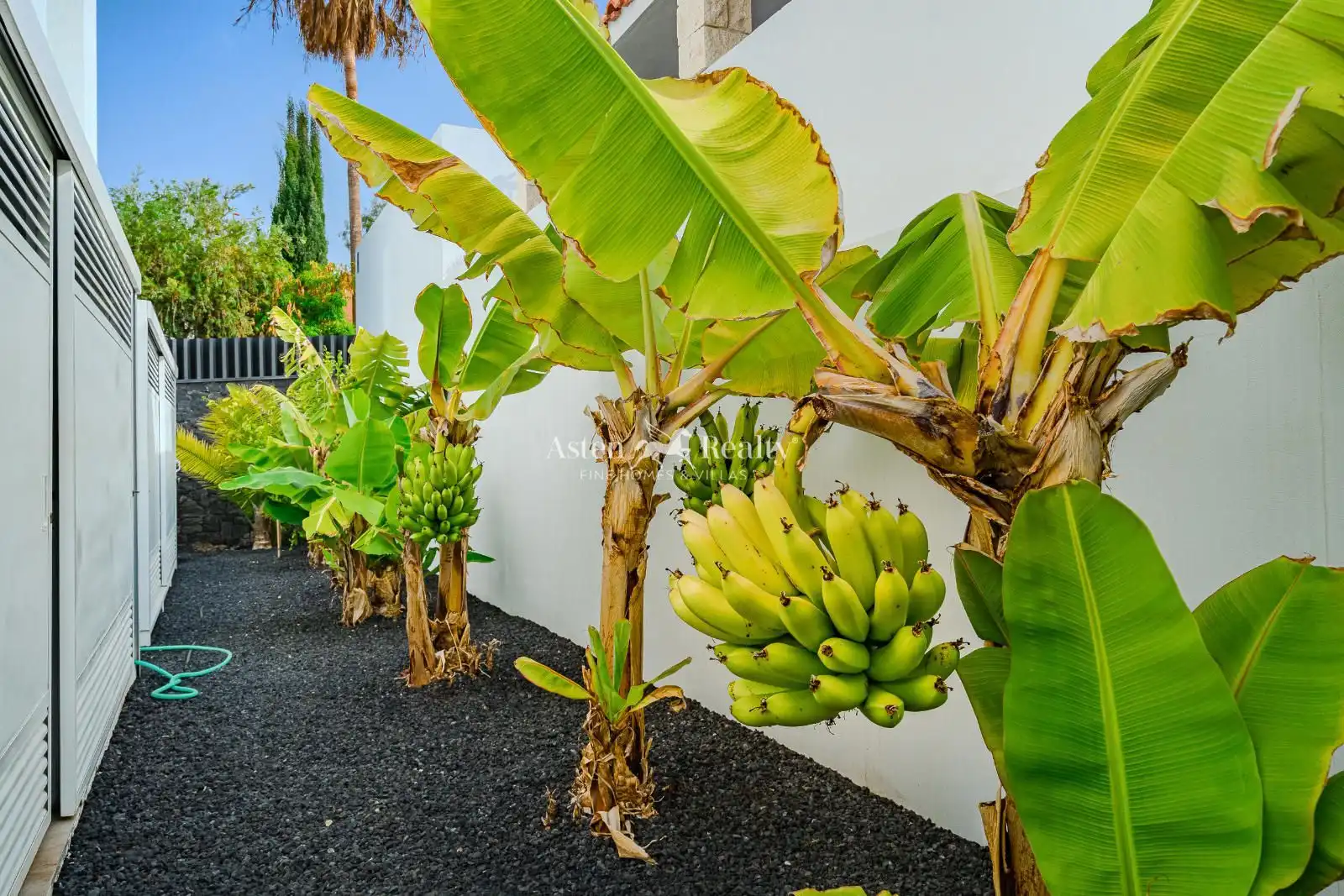 Exterior view of Houses for sale in Adeje  with Air Conditioner, Terrace and Swimming Pool