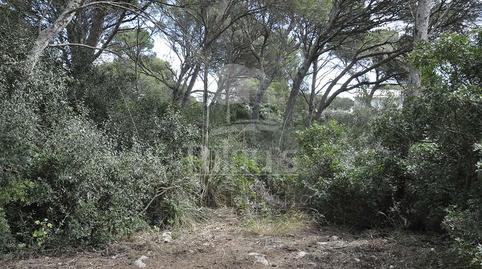 Photo 2 of Residential for sale in Cala Morell, Illes Balears