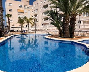 Swimming pool of Apartment to rent in Guardamar del Segura  with Air Conditioner and Community pool