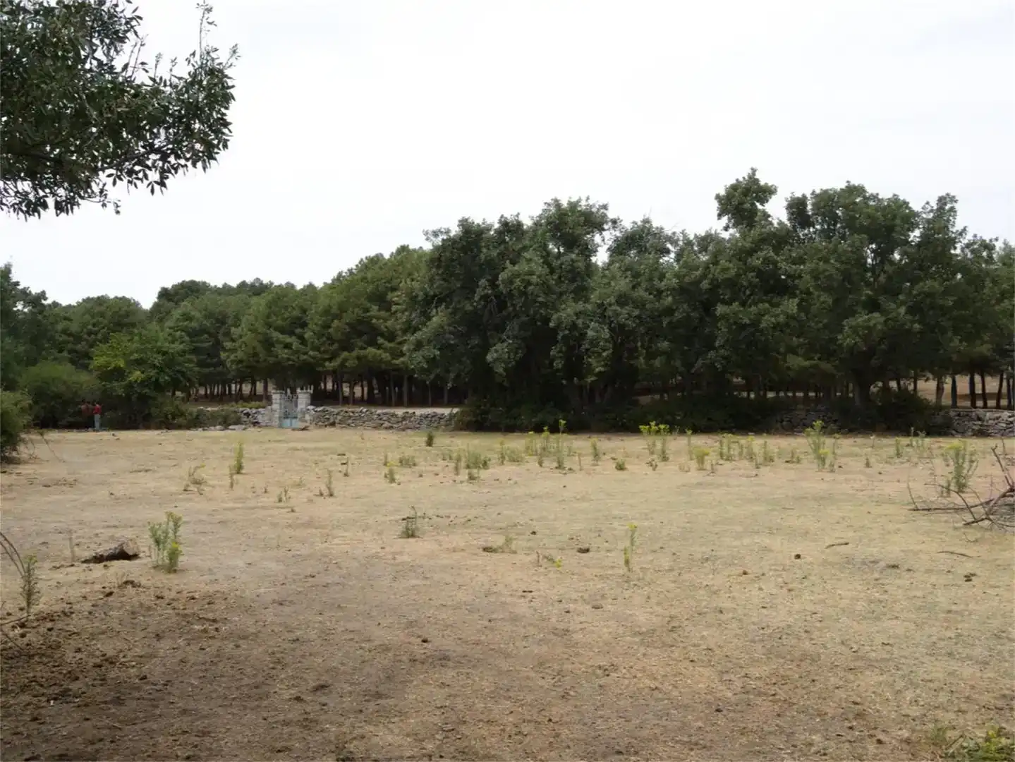 Land for sale in Iglesia - Estación
