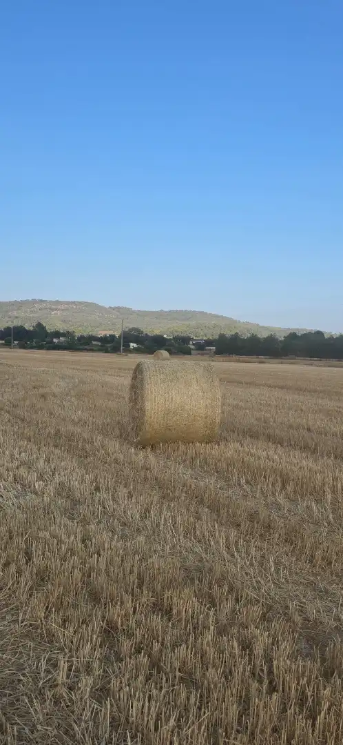 Terrain rustique à vendre à Sant Joan, imagen 3