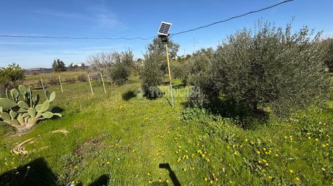 Foto 3 de Finca rústica en venta en Casco Antiguo, Badajoz Capital