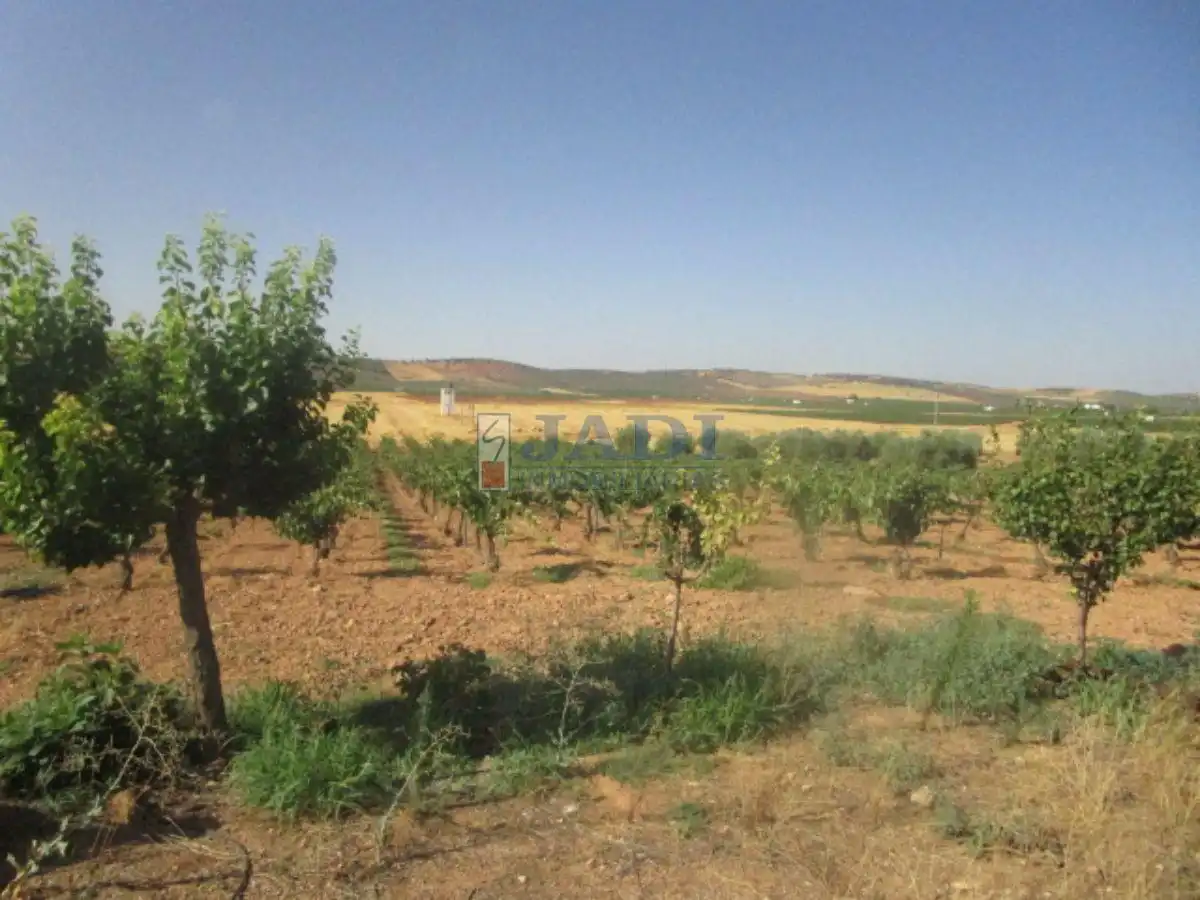 Casa rústica en venda a Valdepeñas, imagen 8