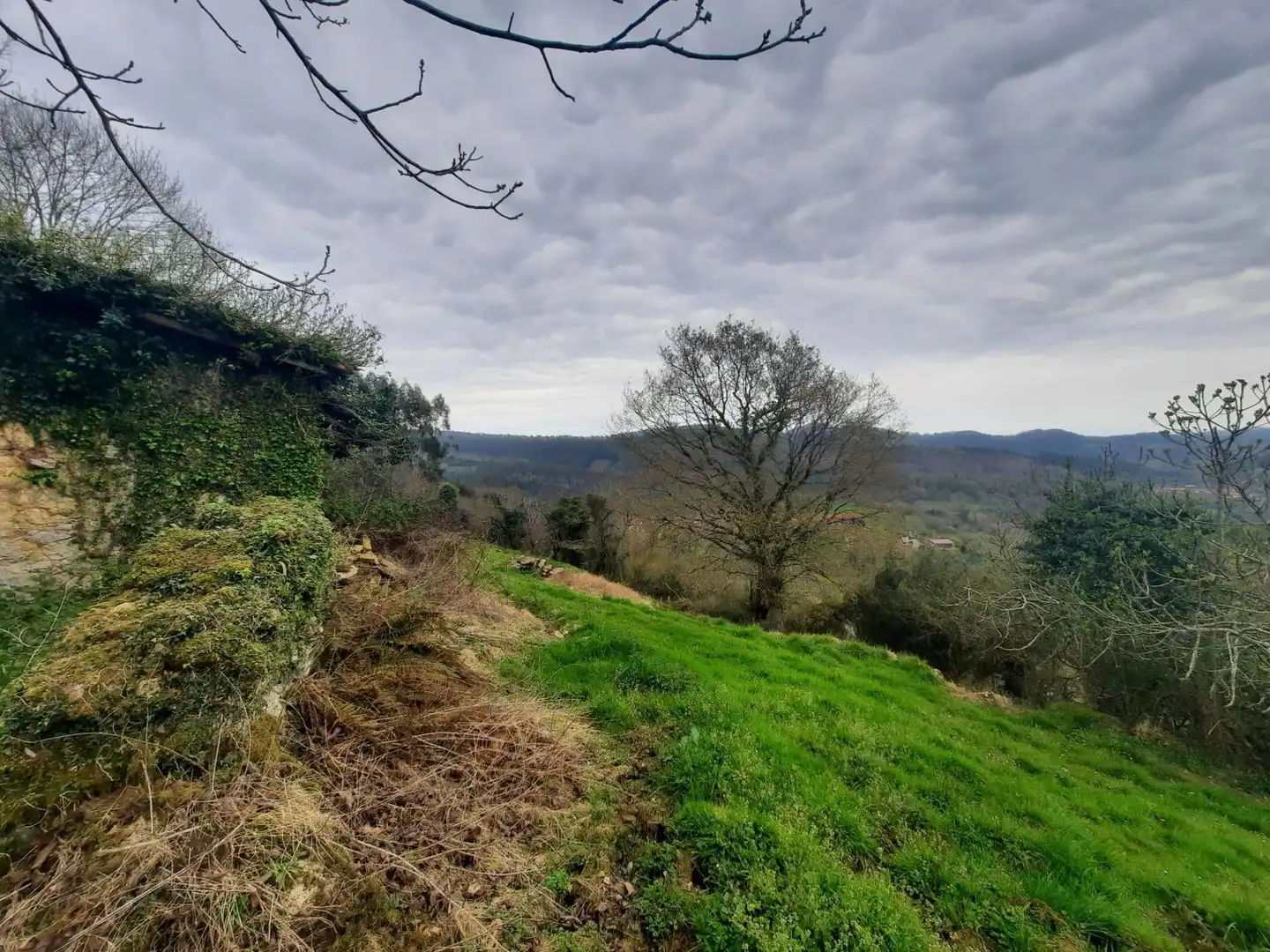 Local en venta en Valdáliga