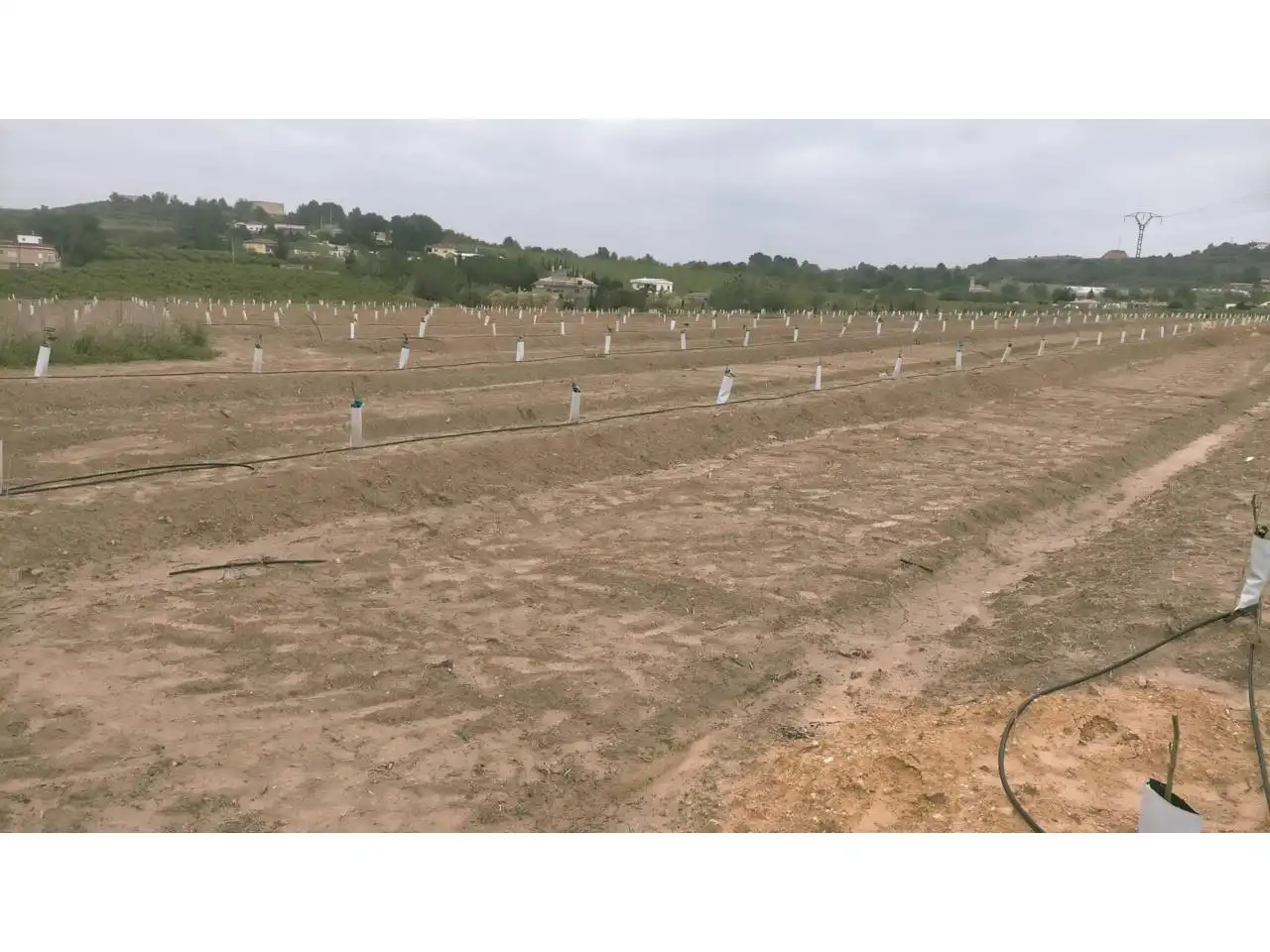 Terreno rustico in vendita a Calle XARCOS SECS, imagen 11