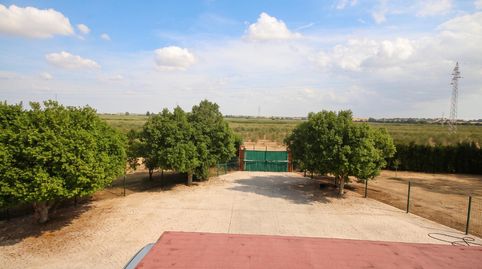 Excepcional Finca Rústica Recién Reformada con Piscina y 5.200 m2 de Parcela en El Pintado, Gibraleón, imagen 3